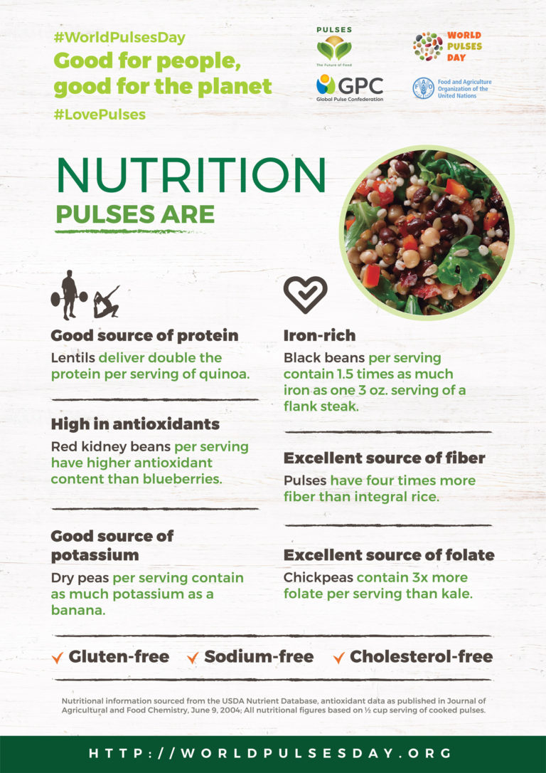 Infographics World Pulses Day