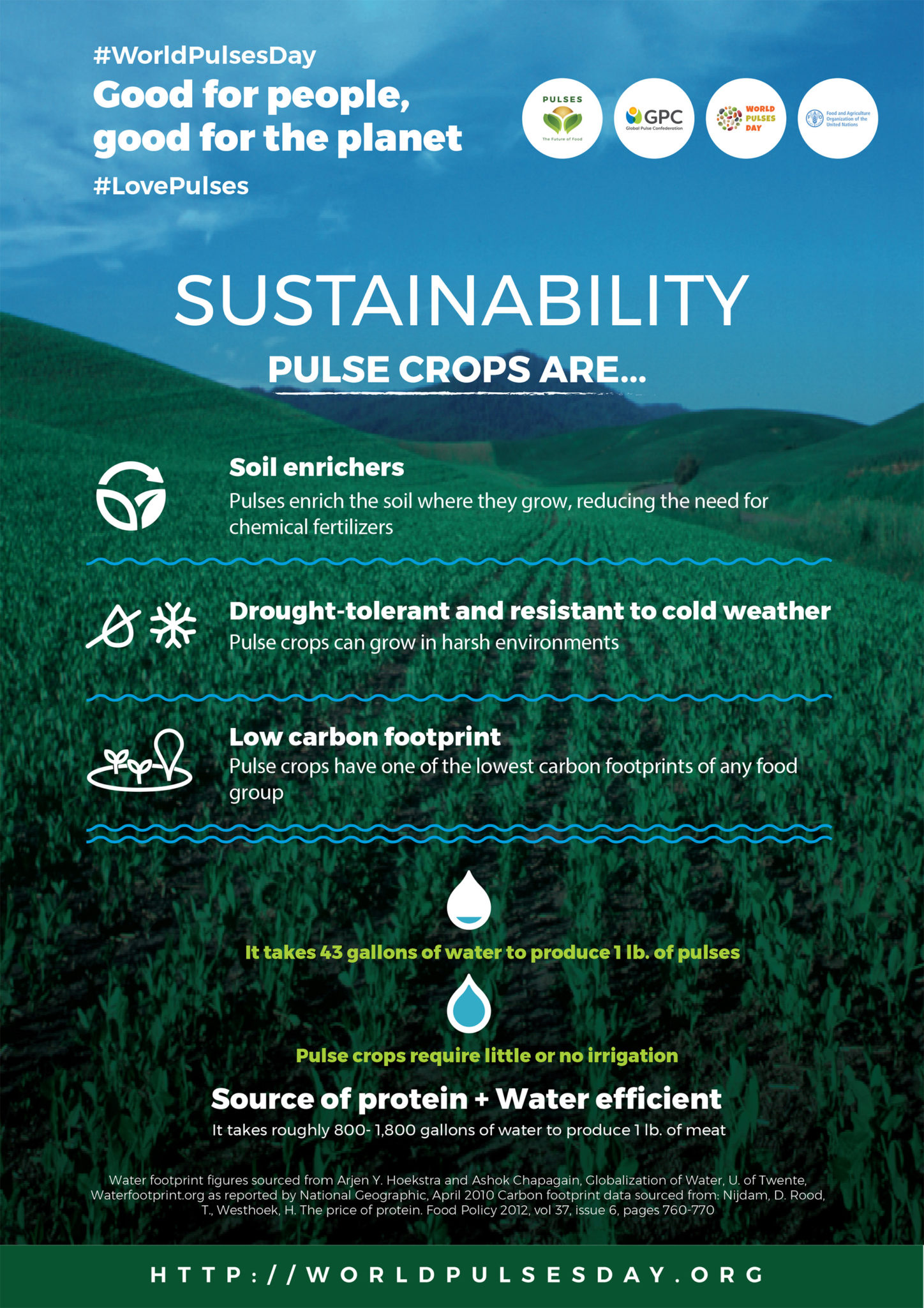 Infographics World Pulses Day