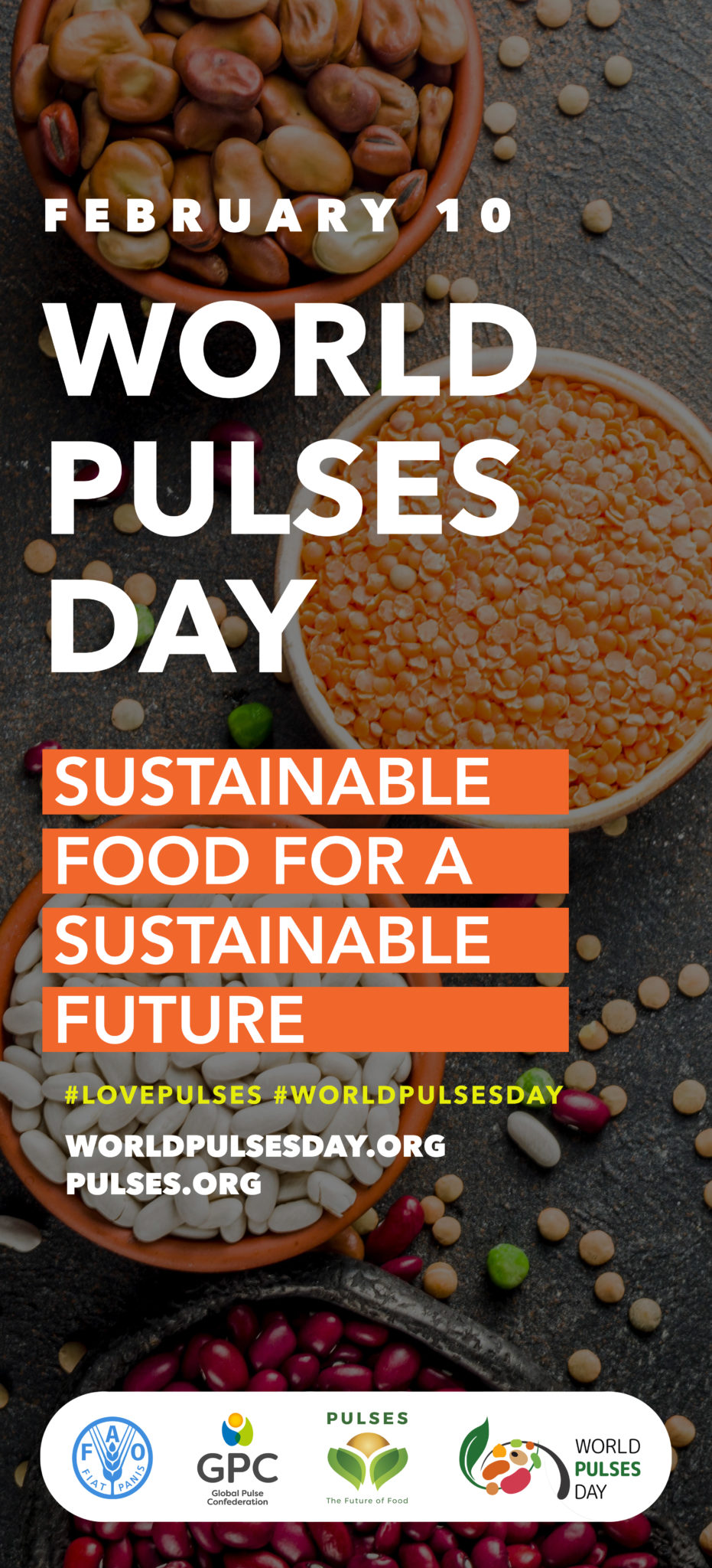 Banners World Pulses Day