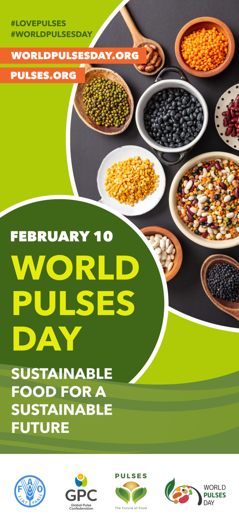 Banners World Pulses Day